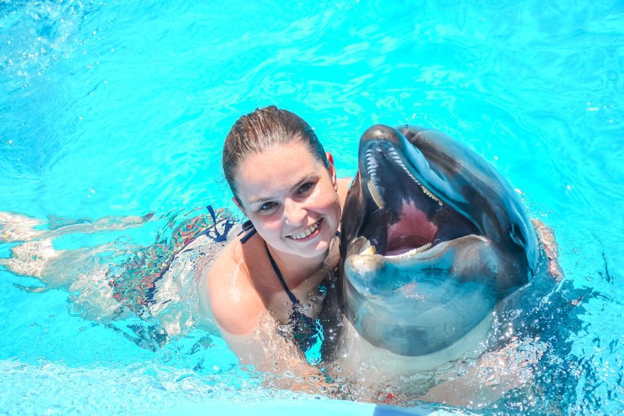Photo season with Dolphins