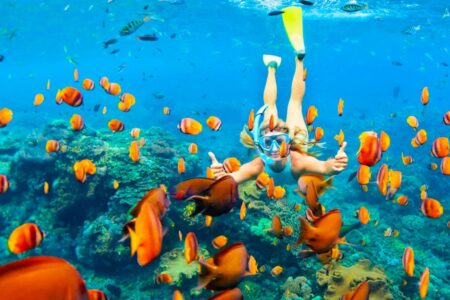 egypt snorkeling