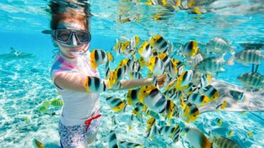 Snorkeling in Egypt