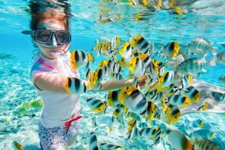 Snorkeling in Egypt