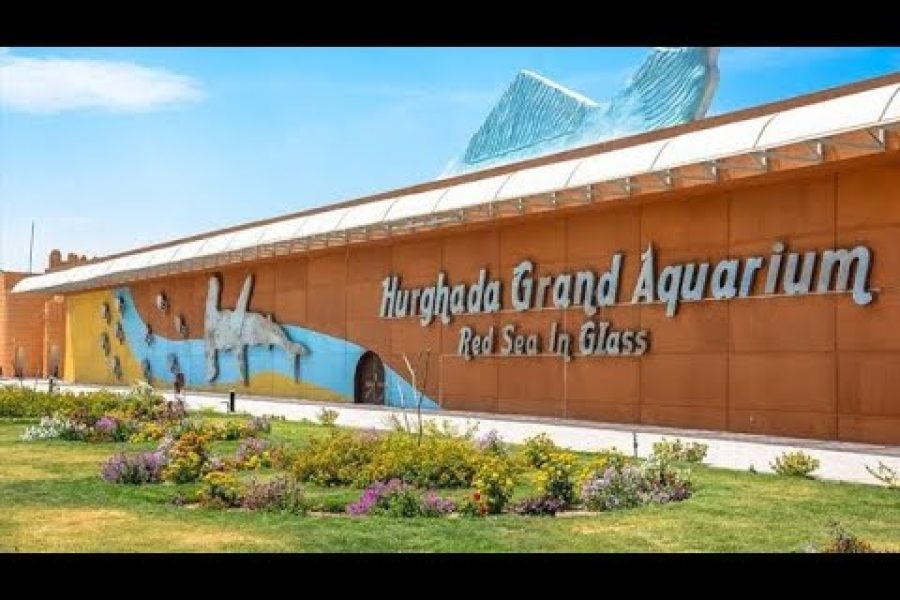 Hurghada Grand Aquarium