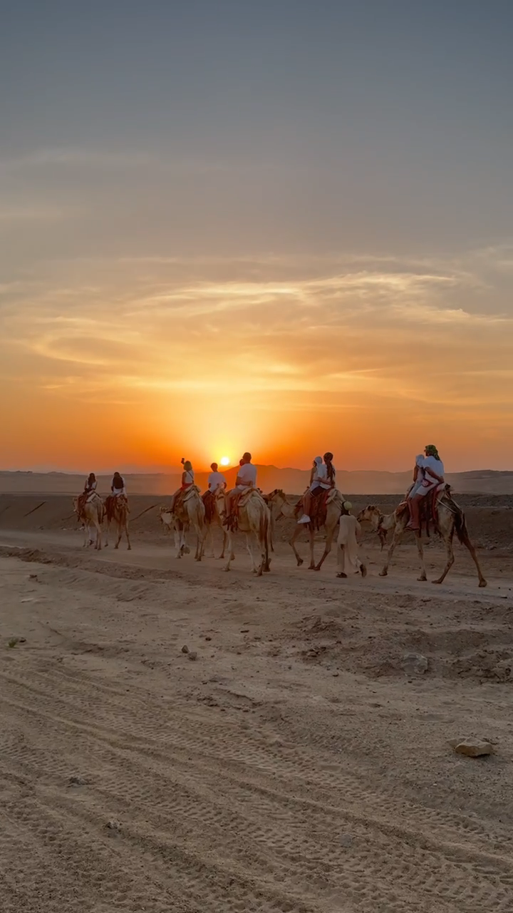 kiksegypttours